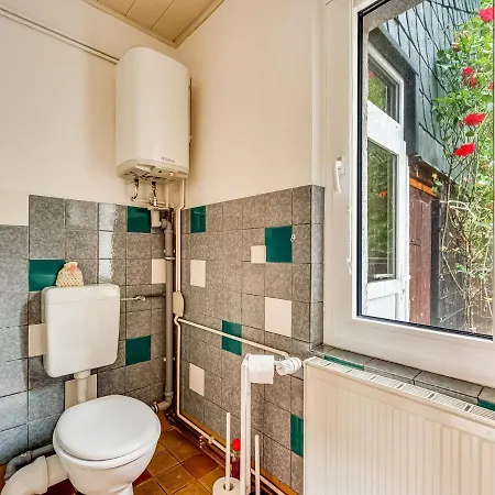 Flat In Ilsenburger Harz Near The Area Apartment *
