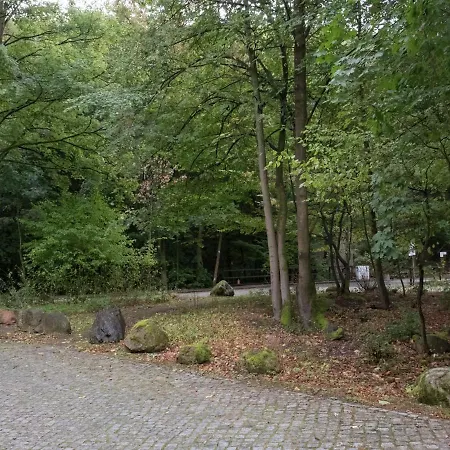 Apartment Flat In Ilsenburger Harz Near The Area
