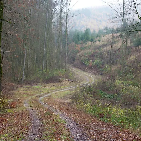 Flat In Ilsenburger Harz Near The Area Apartment Ilsenburg