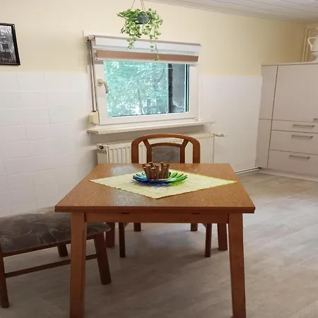 Flat In Ilsenburger Harz Near The Area *