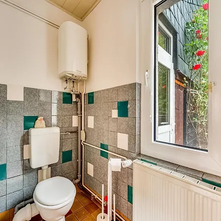 شقة Im Herzen Ilsenburgs السنبرغ