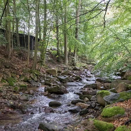 Im Herzen Ilsenburgs شقة