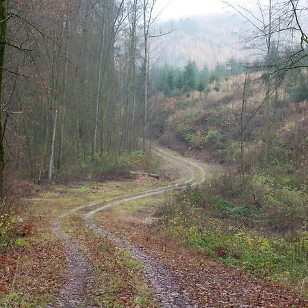 Im Herzen Ilsenburgs Appartement