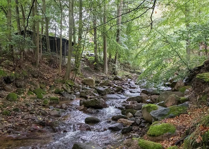 Im Herzen Ilsenburgs Lägenhet