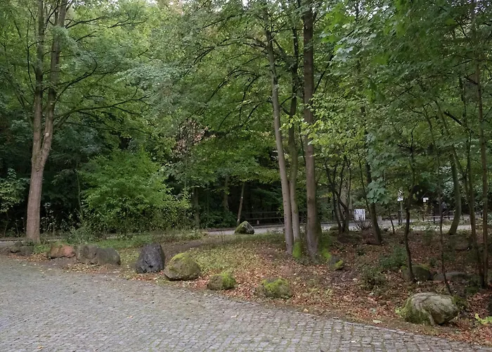 Im Herzen Ilsenburgs Lägenhet *